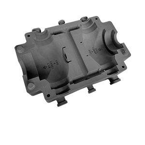 cp (7).png